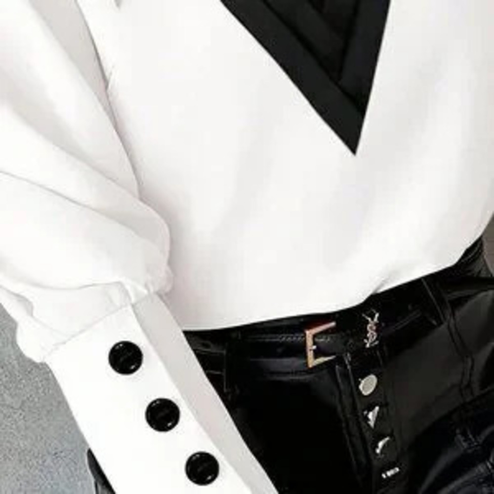 Black & White Elegant Women's V-Neck Lantern Sleeve Blouse - Picture 4 of 4